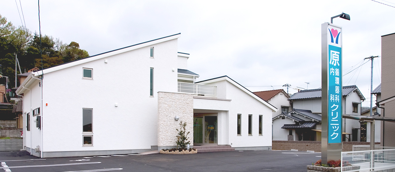 松山市 内科・科循環器科